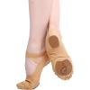 imageDaydance Beige Elastic Canvas Ballet ShoesSlippers for Women GirlsBrown