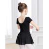 imageDaydance Skirted Leotards Girls Short Sleeve Leotard Dress for Ballet DanceBlackliningshort Sleeve Dress