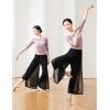 imageDaydance Women Palazzo Pants Loose 2 Layers Side Slit Loungewear for Dance Ballet YogaBlack2 Layers