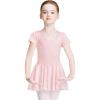 Ballet Pink-lining-short Sleeve Dress