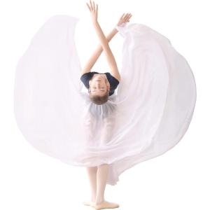 imageDaydance Womens Ballet Skirts Long Sheer Dance Skirts Black with Tie WaistWhiteelastic Waist