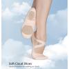 imageDaydance Cloud Soft 4 Way Elastic Women Ballet Shoes Women Ballet Slippers for Dance GymnasticsLight Pink