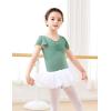 imageDaydance Fluttler Sleeve Ballet Dance Leotards for ToddlerGirlsKidsBig KidsBig GirlsGreenflutter Sleeve