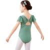 imageDaydance Fluttler Sleeve Ballet Dance Leotards for ToddlerGirlsKidsBig KidsBig GirlsGreenflutter Sleeve
