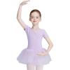 imageDaydance Puff Short Sleeve Princess Tutu Skirt Leotards for Toddler Girls Ballet Boat Neck Dance DressLilacliningtutu Leotards